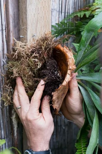 ��� ���������� �����������: ������ �� ����� �� �������� �� ���� � ���