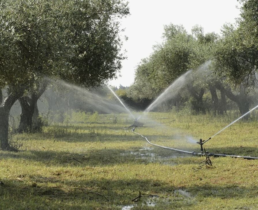 ��� ��������� �������� �������� ������� � ����: �������� ������ ��� �������� ������