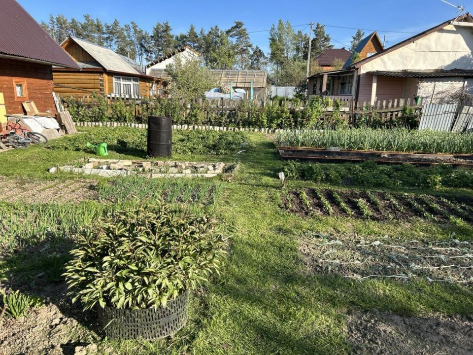 ����� ����� �������� �����: ������ ��� ��������� ������