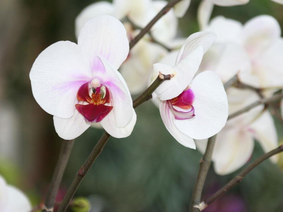 ��������� �������: ��� ��������� ���� ������ �� ����� ������