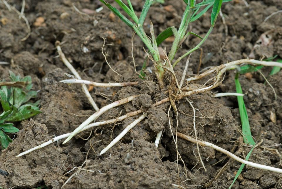 ��� �������� ����� � ������� �������� ��� ����� ��������