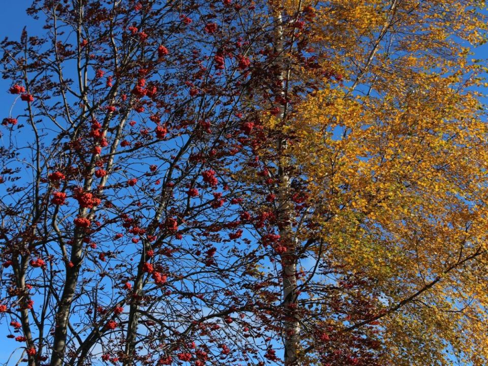 ������� ������: ������������� ������ � ������������ �������