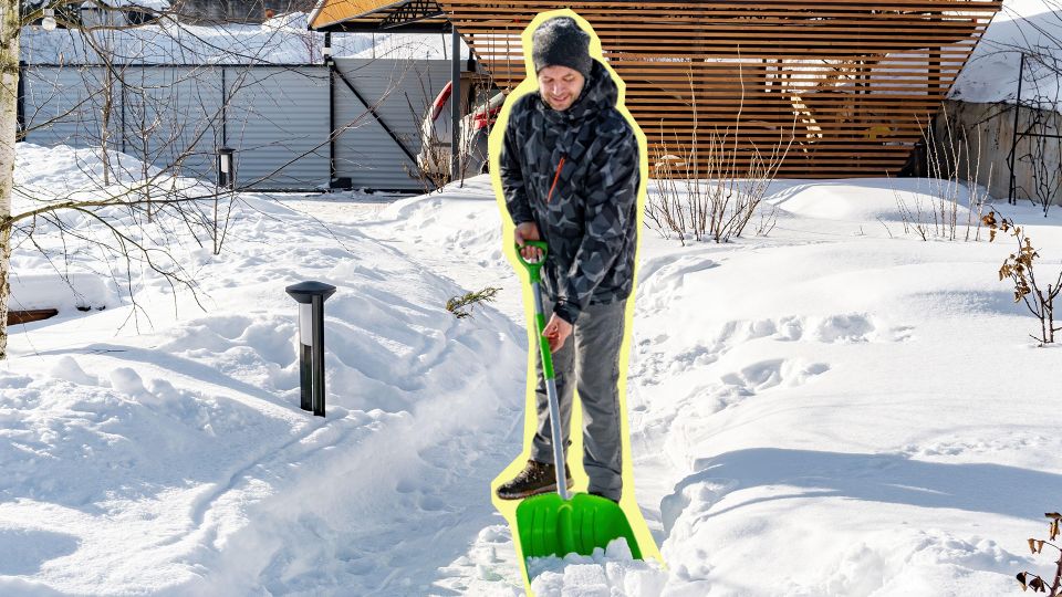 ���� ���� �� �������: ��� ������ � ���� ����� ������ ��� ������