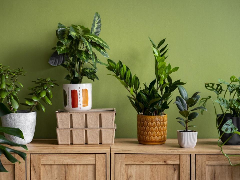 ��� �������� �������� ������� ����� ������ ����������