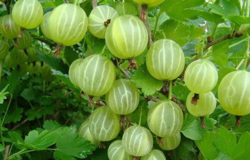 ����� � ��� ���������� ��������� ��� ������������� ������