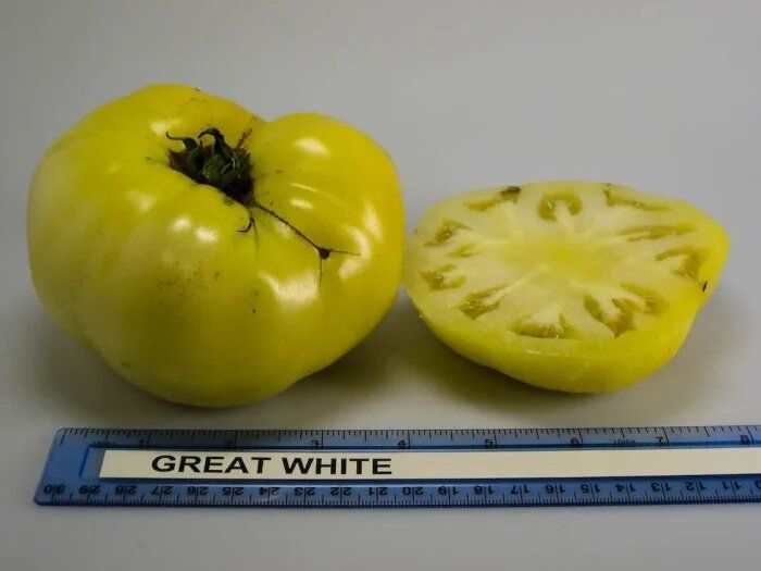 Томат Грейт Вайт: яркость вкуса и оригинальный цвет