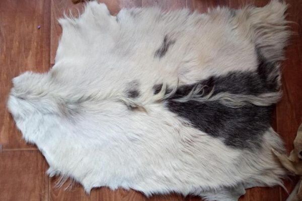 ��������� ������� ������ �����: �� ��������� �� ����������� ����������