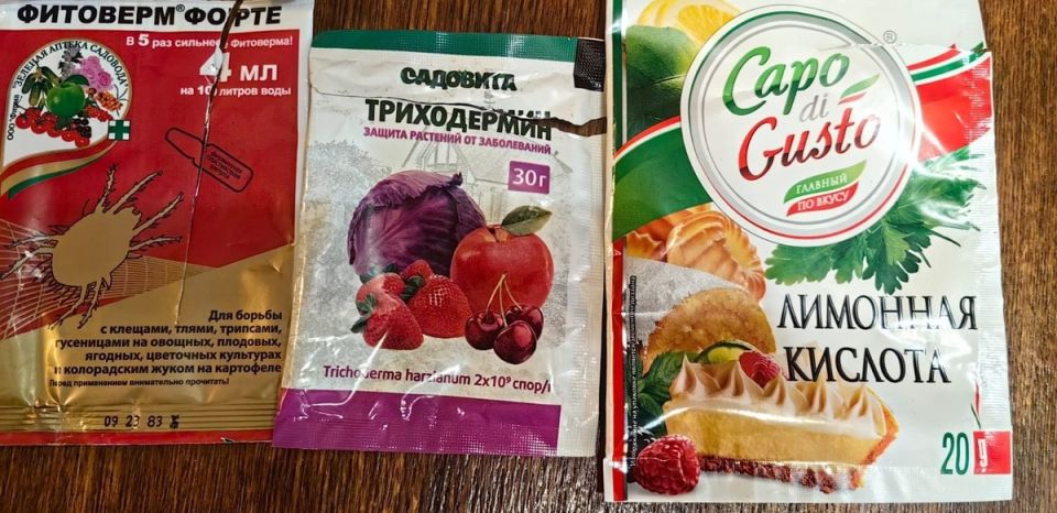 ��� ������������� �������� � ����������: ��������� ����� ��������� � �������������