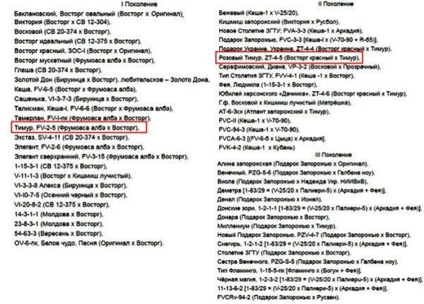 �������� ��������� �����: ���������� ����� � �� �����������