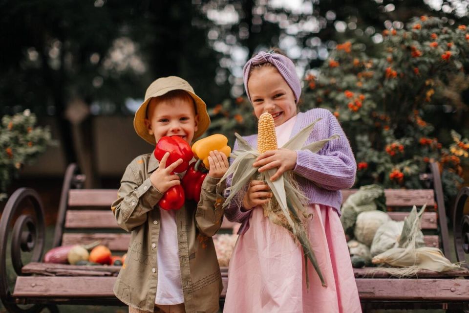 ������ � �����: ������� ������� ������������ ��������� ��� ������ �������