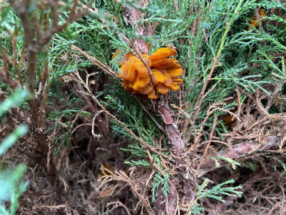 � �������� ������� ��� � �������������: 6 ������� �����, ����� �������� �� �������� ���