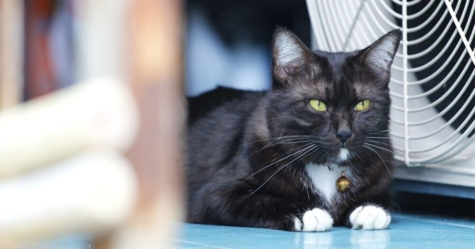 ��� ���������� �� ��������� � ���� � ������ � ���������: 5 ���������� ��������