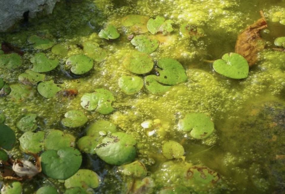 7 ������� ��������, ����� ���������� �� �������� ���� � �����, � ������� ����� �� �������