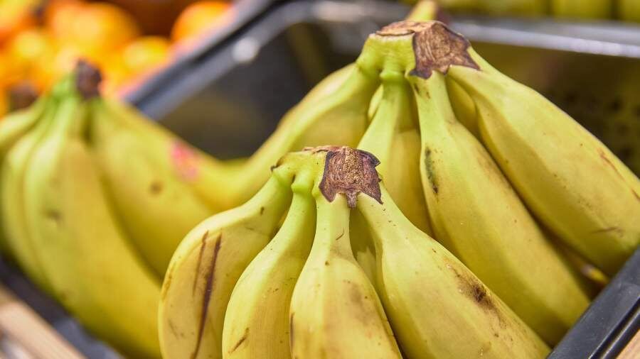 ����������� �������� ����� �������� �� ������