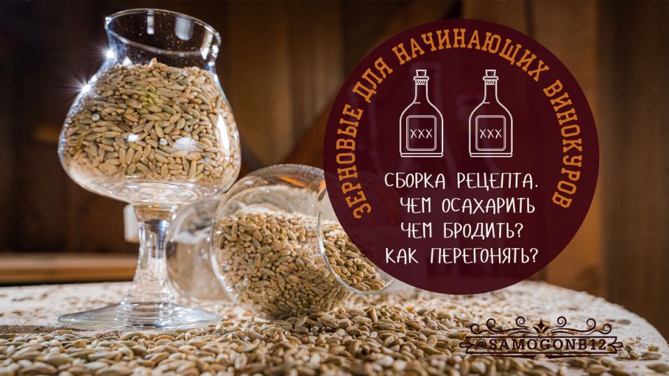 Зерновые для новичков: как создать идеальный напиток с первого раза