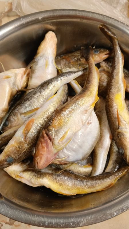 ��������� ������� ������: ��� ��������� ���� ���������� ����������� � ������ �����