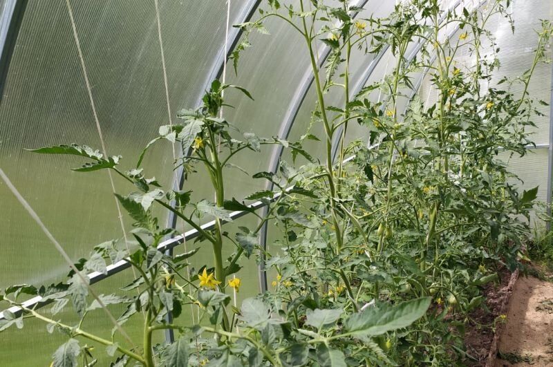 ���-3 ������ ��� ������������ ������� � �������