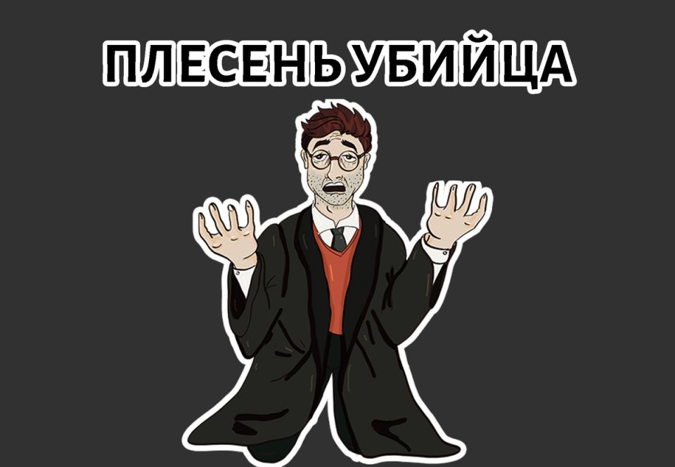 Плесень в доме: пять причин, почему стоит её бояться