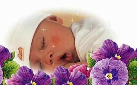 ��������� ���� ��� �������: ������ ��� ���������